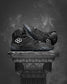 JB1 Black Metal wrestling shoes by RUDIS, all black wrestling shoes with high grip sole designed for elite performance and control