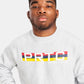 A young man in a gray sweatshirt featuring bold red blue and yellow stripes and the text PRTC WRESTLING