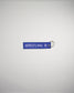A vibrant blue keychain tag labeled WRESTLING featuring a decorative emblem on one end