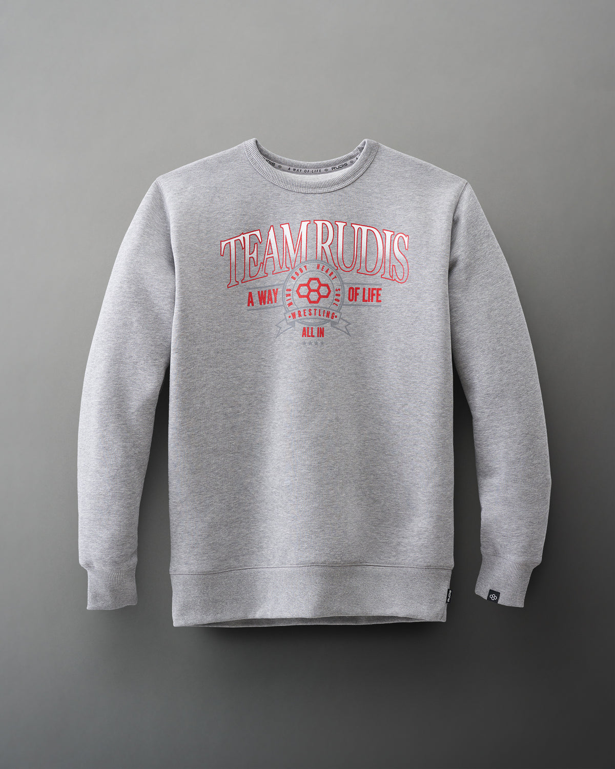 Pull ras du cou All In Team RUDIS