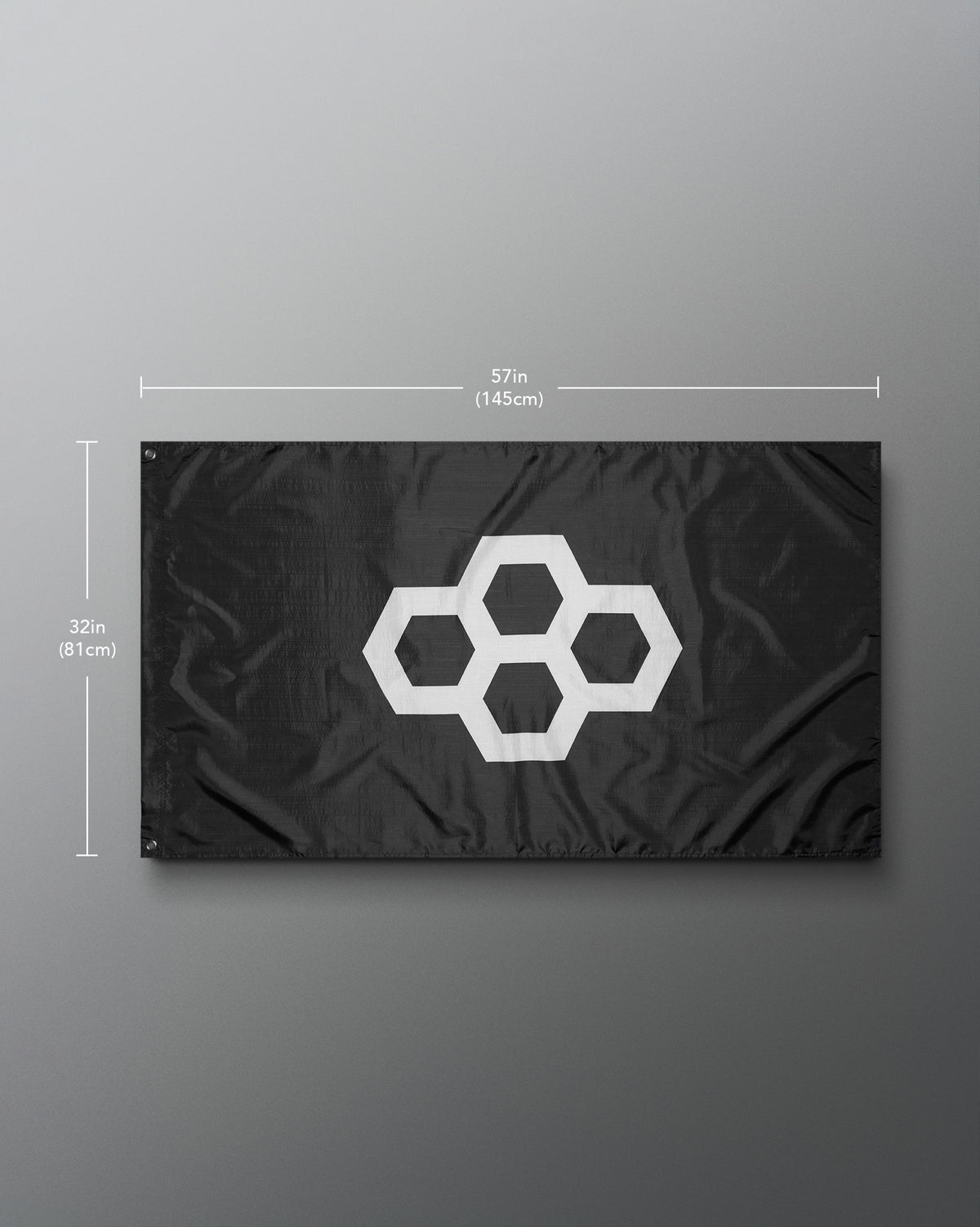 Drapeau Logo RUDIS - Noir