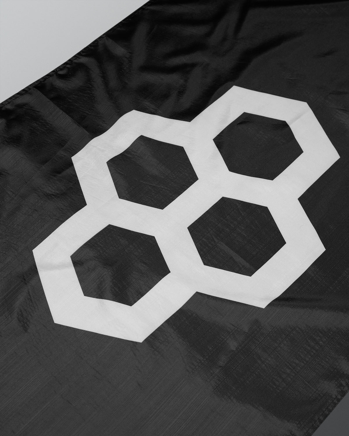 Drapeau Logo RUDIS - Noir
