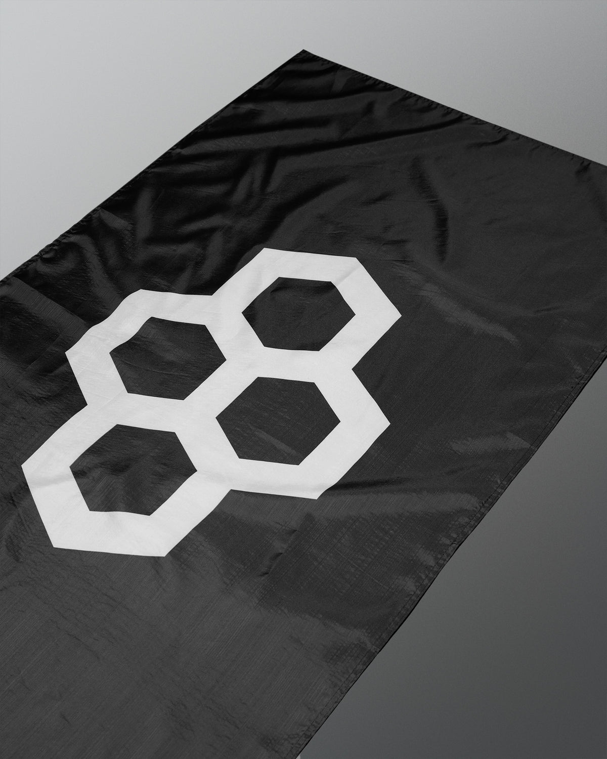 Drapeau Logo RUDIS - Noir