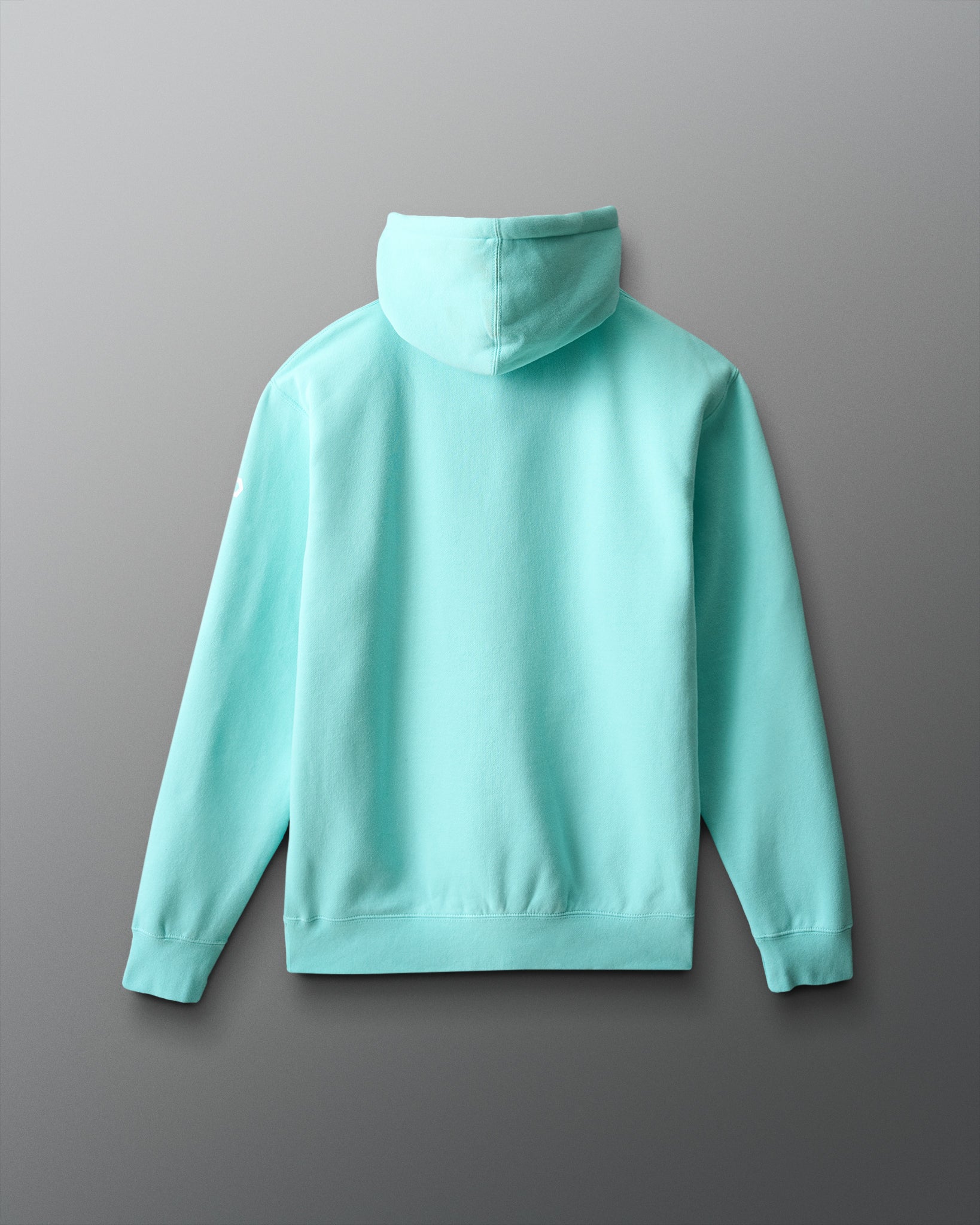 Light blue hoodie on a gray background
