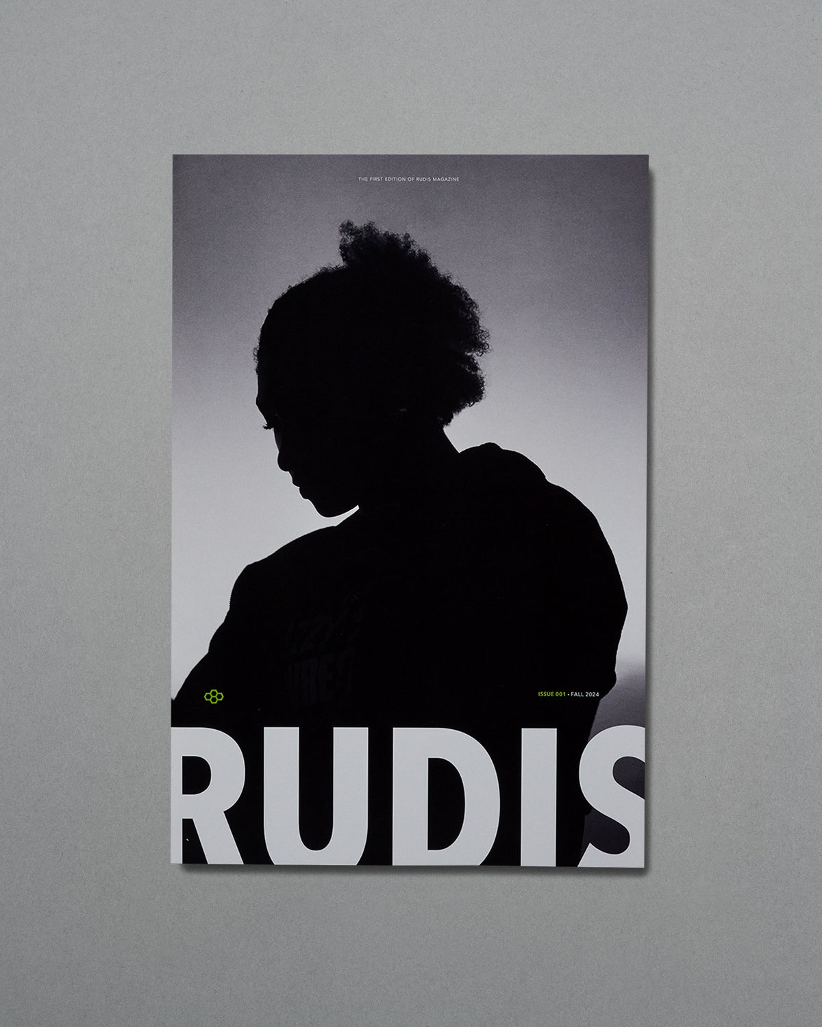 Silhouette of a person against a gray background with 'RUDIS' branding.