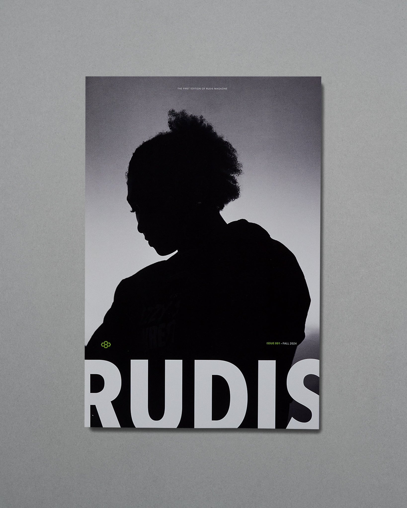 Silhouette of a person against a gray background with 'RUDIS' branding.