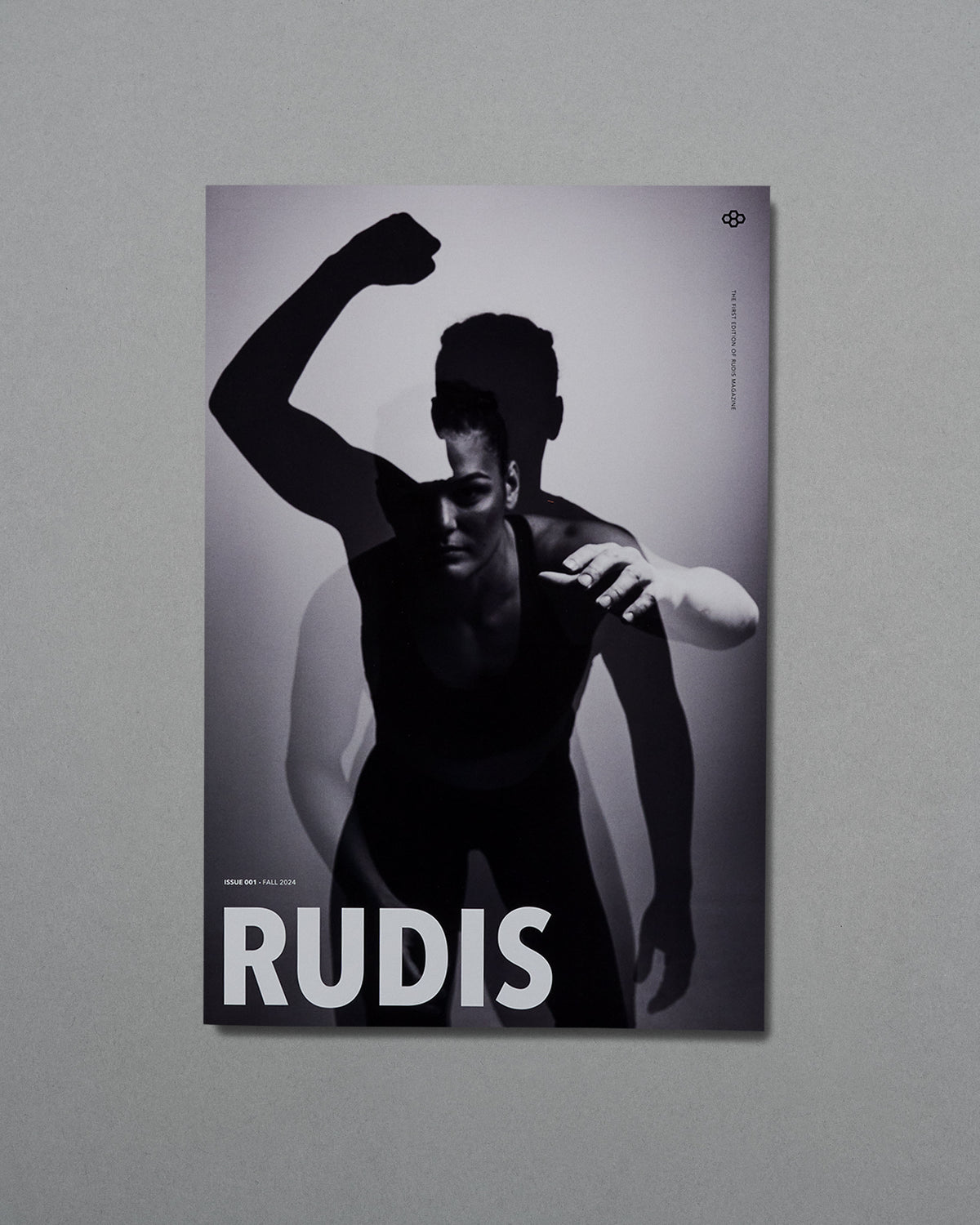 Poster of a person with one arm raised, wearing a black outfit, on a gray background with 'RUDIS' branding.