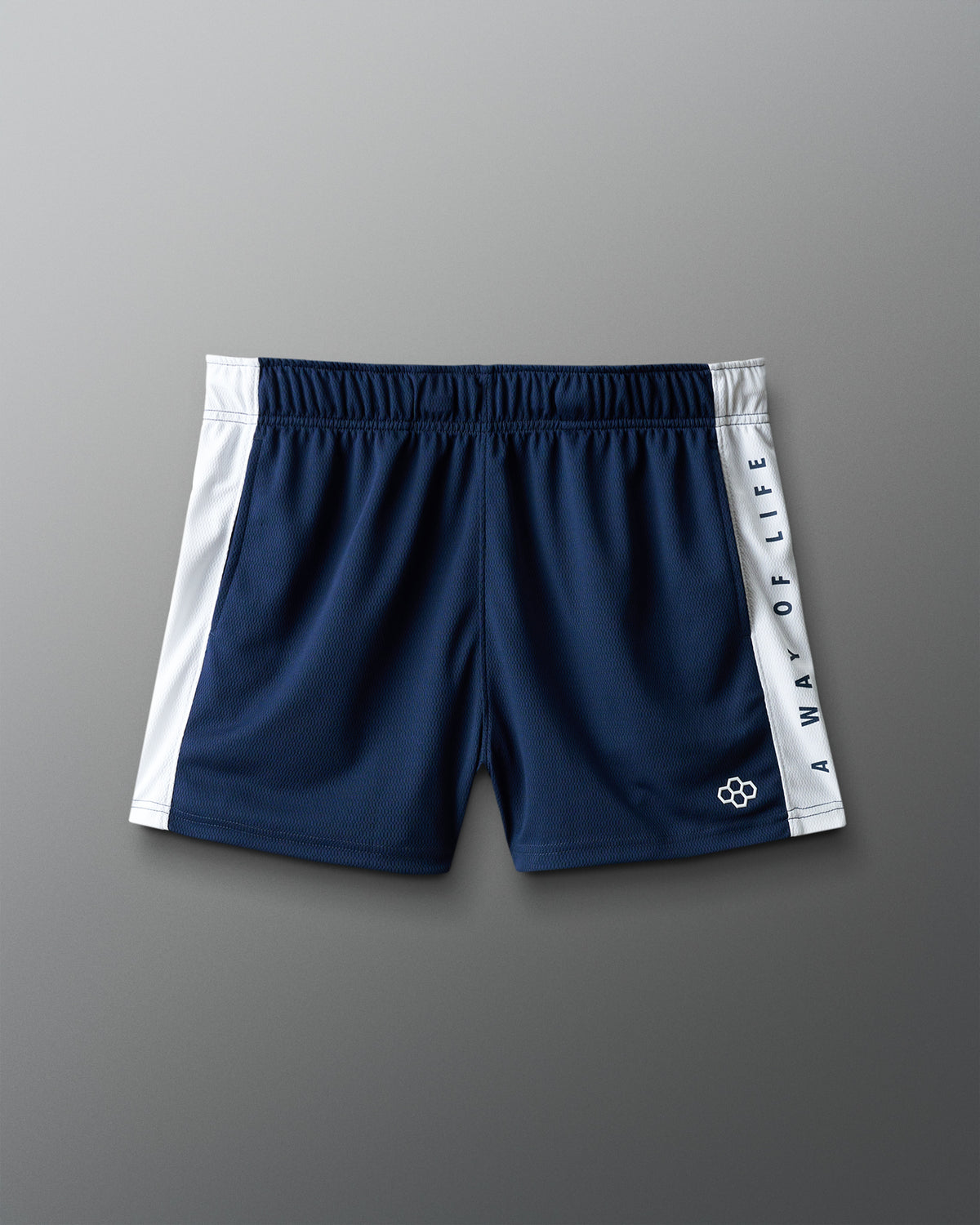 Short en maille à panneaux haut de gamme RUDIS 3"