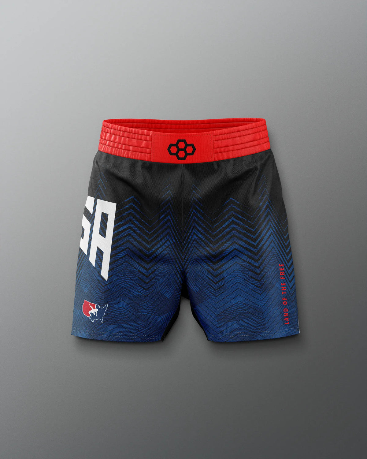 VIK - USAW Icon Sublimated Shorts