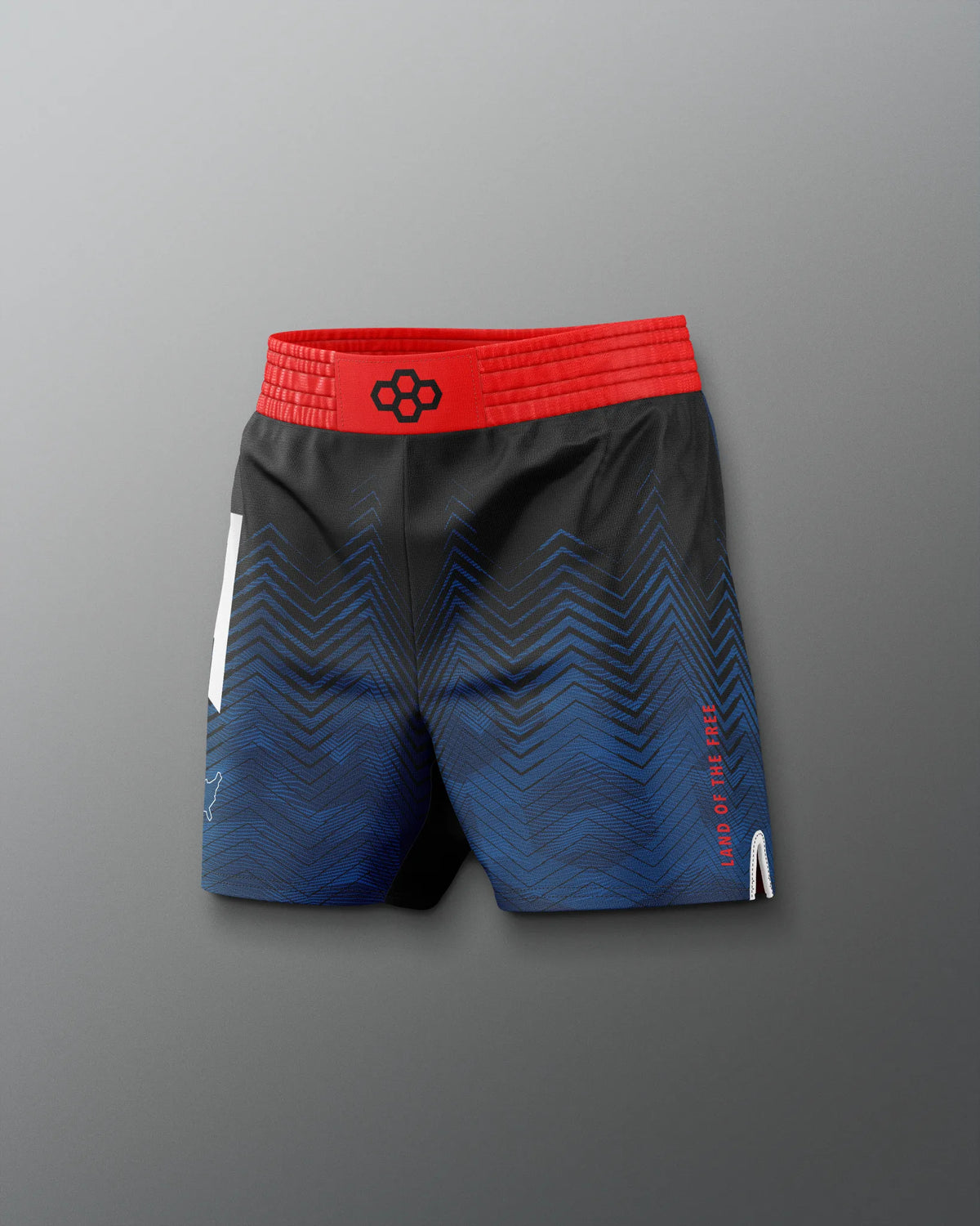 VIK - USAW Icon Sublimated Shorts
