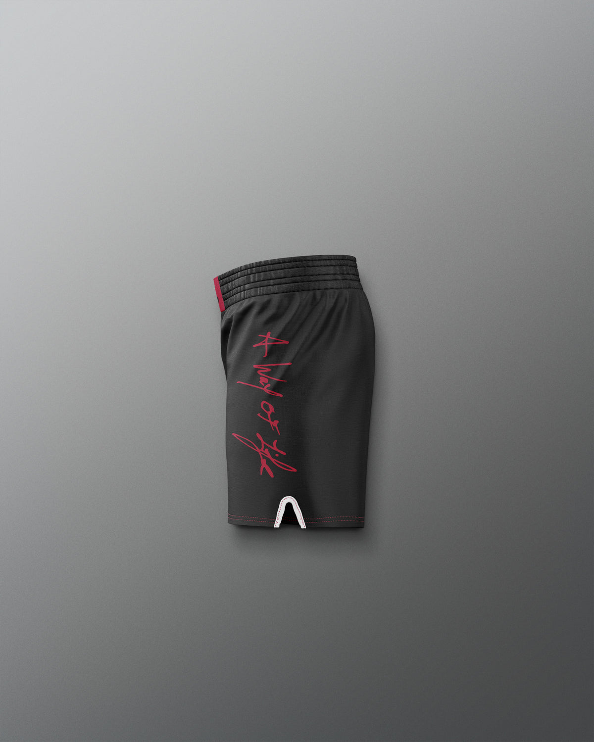Motto Scripted Youth Elite Short
