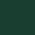 RUDIS Cushion Wrestling Knee Pad - Emerald