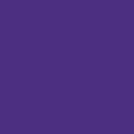 RUDIS Cushion Wrestling Knee Pad - Purple