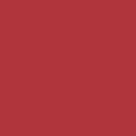 RUDIS Cushion Wrestling Knee Pad - Red